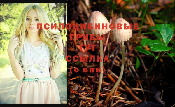 ALPHA PVP Нягань
