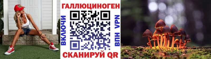 Галлюциногенные грибы мицелий  Купить закладки  Кирс 